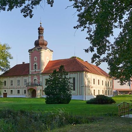 Penzion Zamek Lesany Netvořice Eksteriør billede